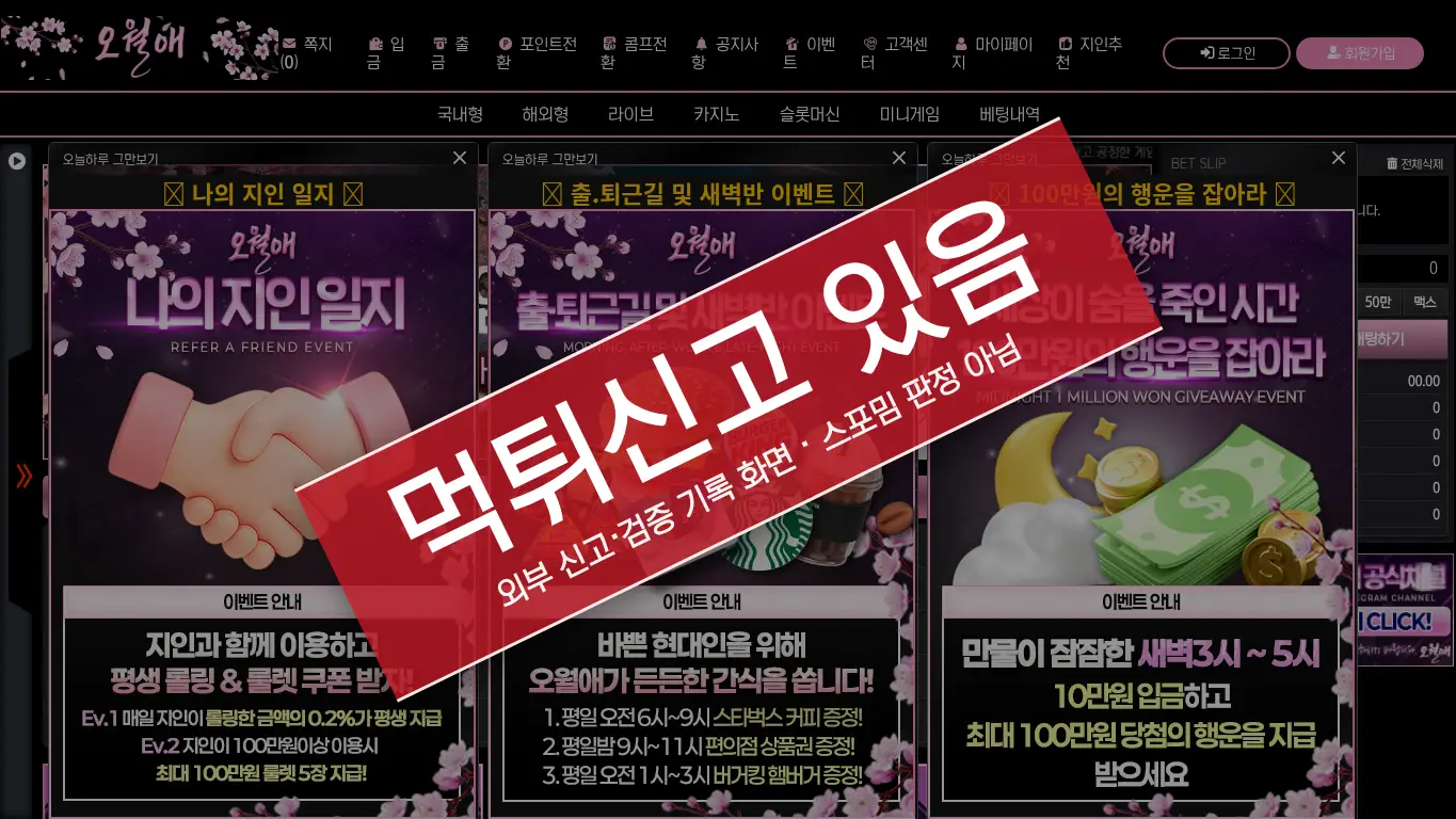 애월애 사이트 화면