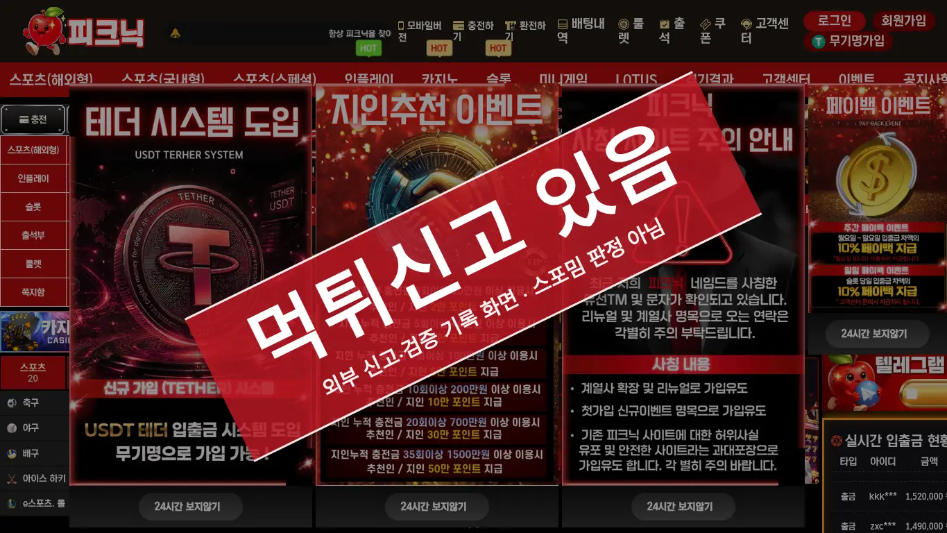 피크닉 사이트 화면