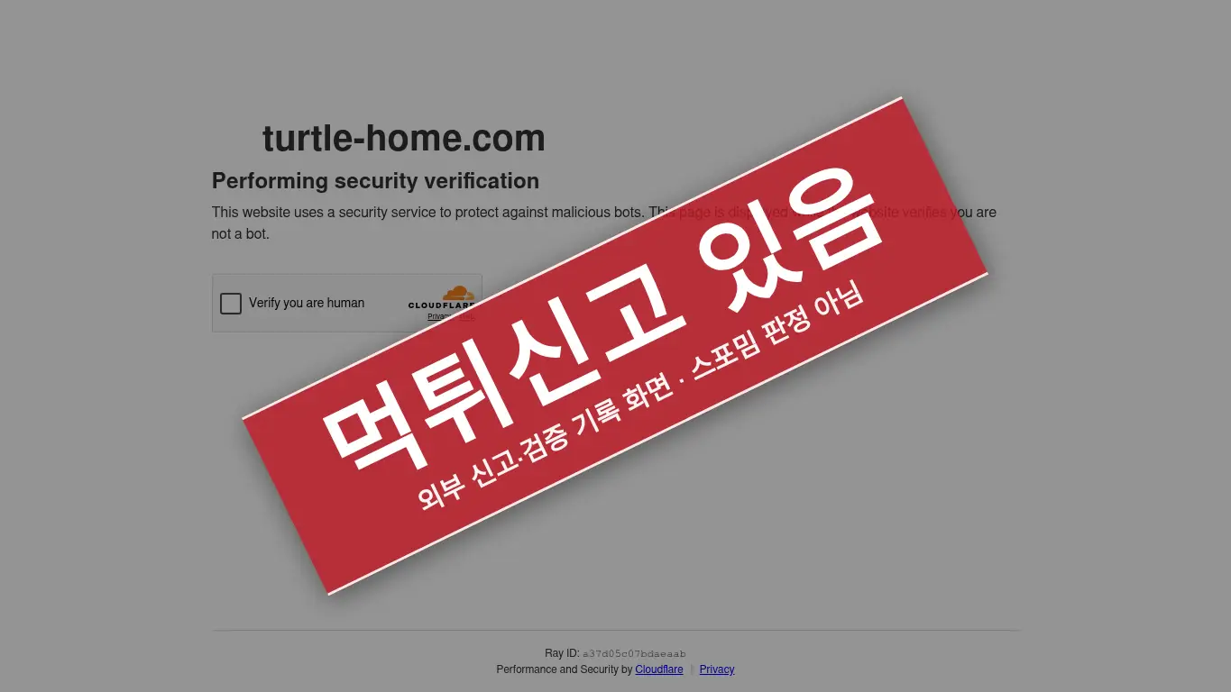 퍼피카지노 사이트 화면
